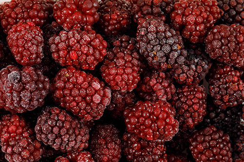 MULBERRY